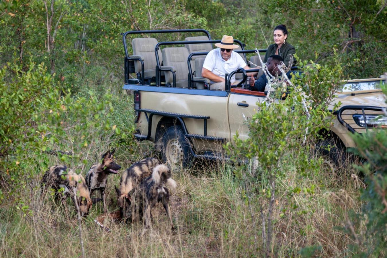 Leopard Hills Private Game Reserve Sabi Sand Game Reserve Luaran gambar