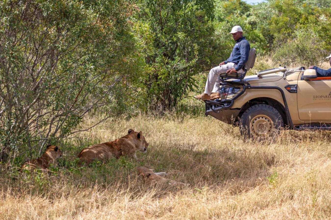 Leopard Hills Private Game Reserve Sabi Sand Game Reserve Luaran gambar