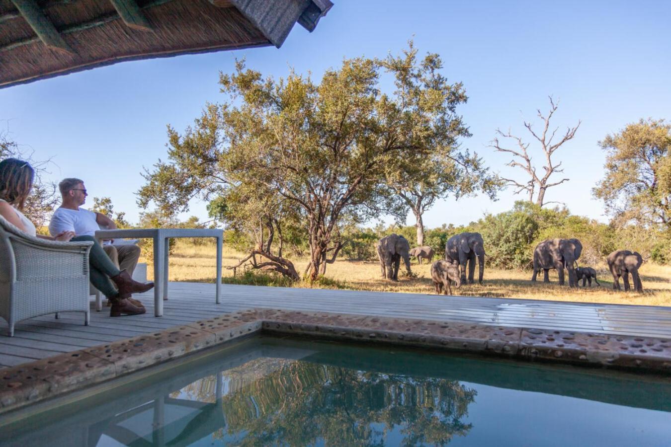 Leopard Hills Private Game Reserve Sabi Sand Game Reserve Luaran gambar