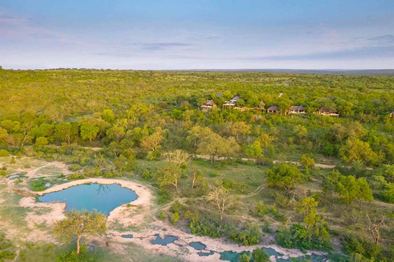 Leopard Hills Private Game Reserve Sabi Sand Game Reserve Luaran gambar