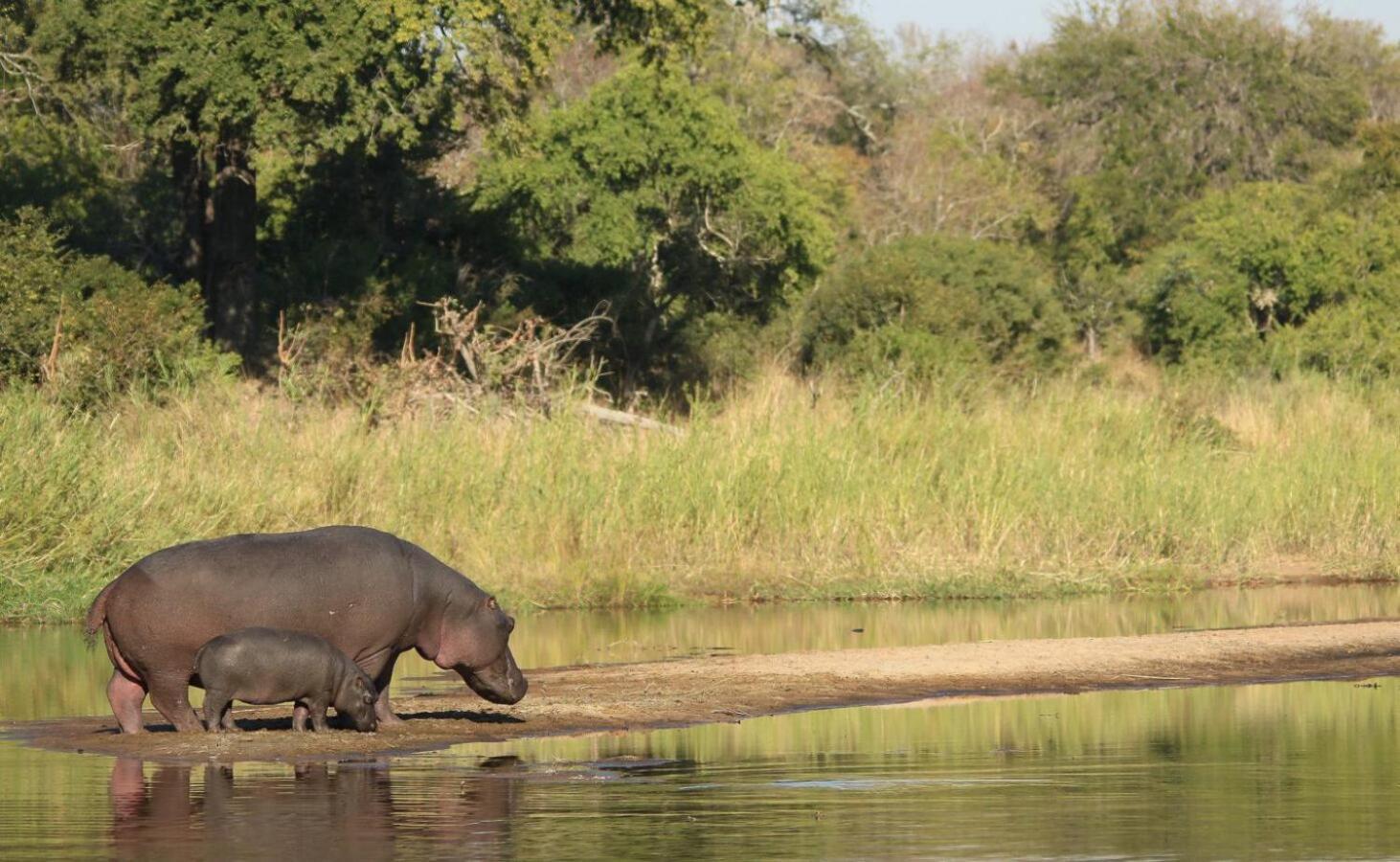 Leopard Hills Private Game Reserve Sabi Sand Game Reserve Luaran gambar